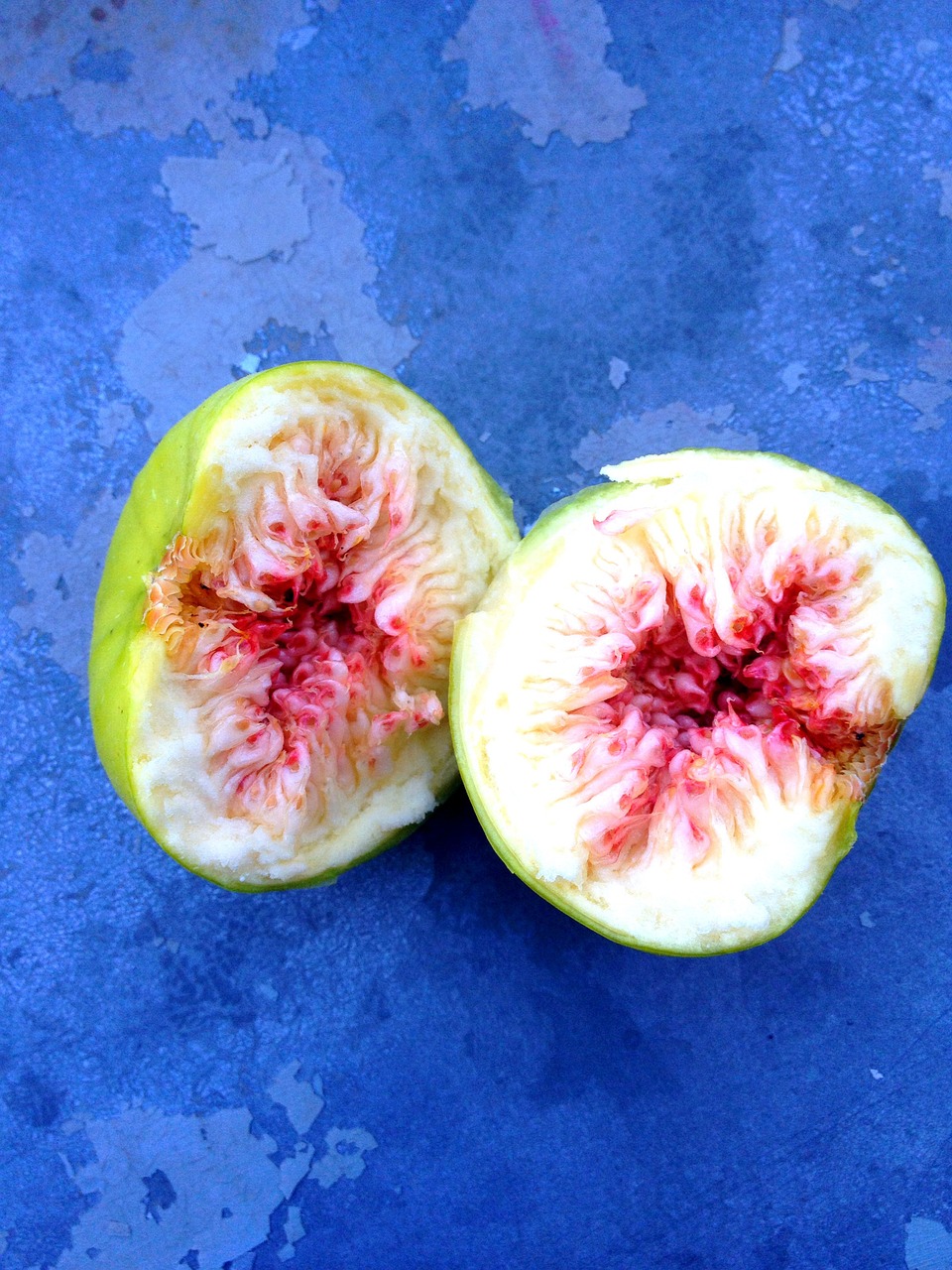 figs italy summer free photo