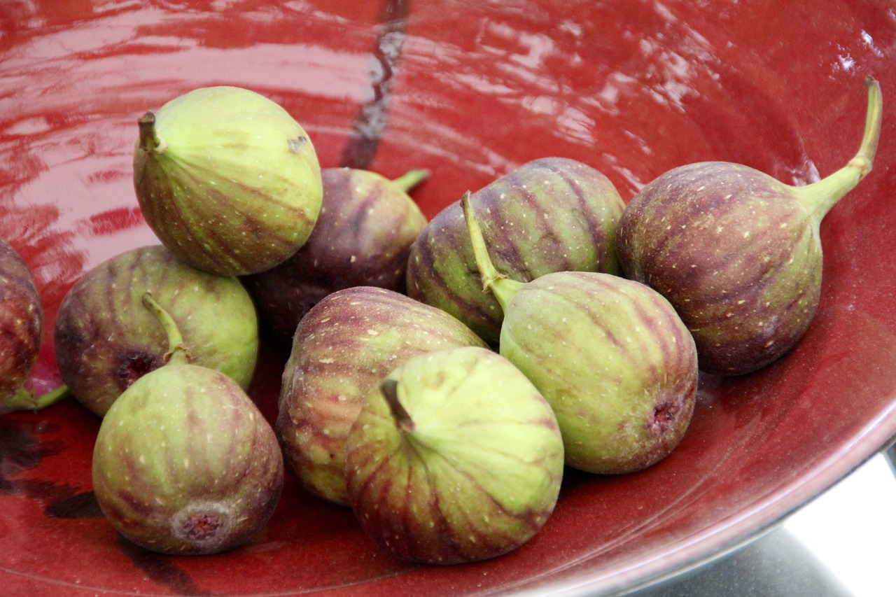 figs decoration still life free photo