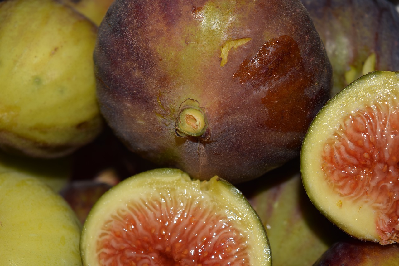figs frisch fruit free photo