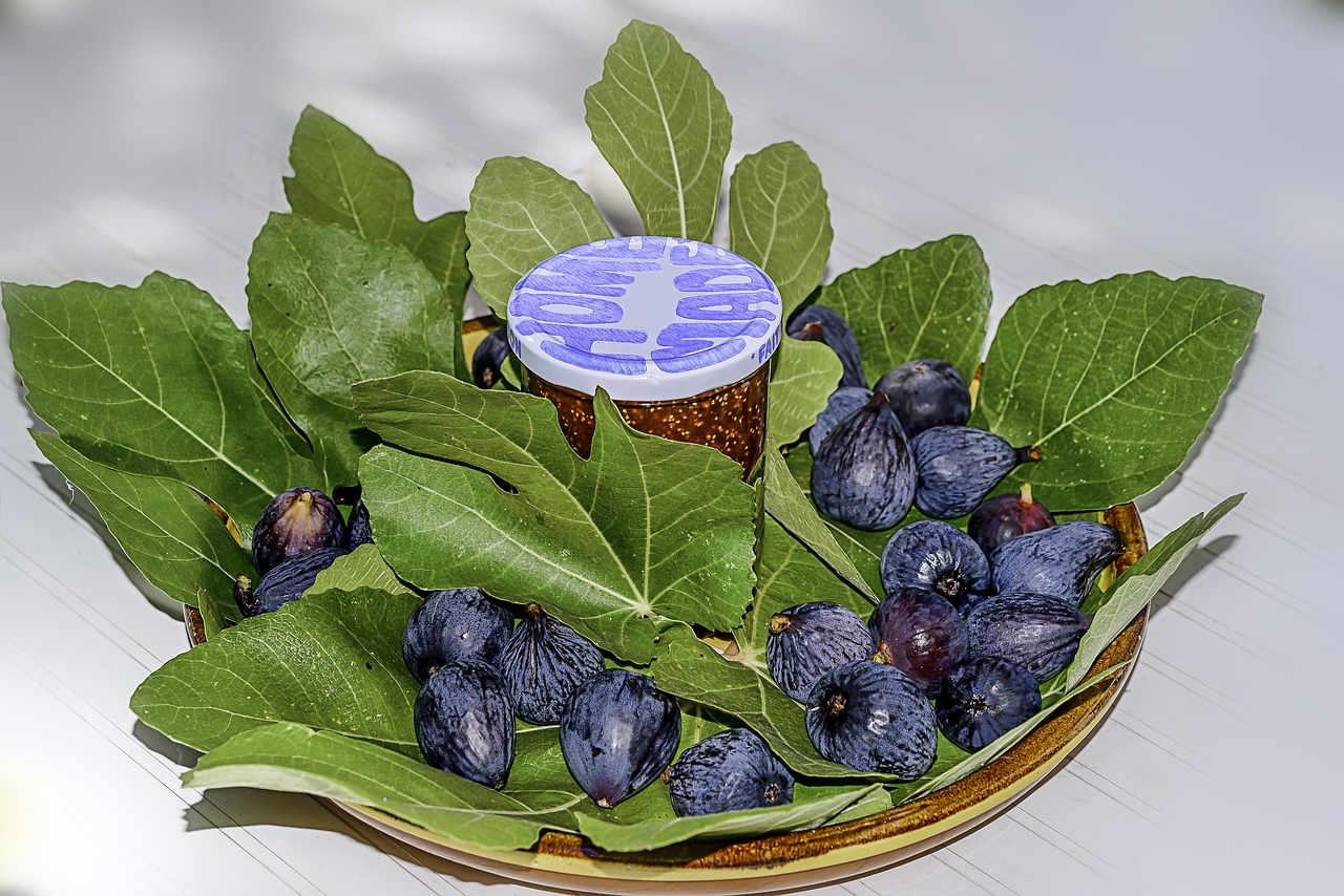 figs fig leaves compote free photo
