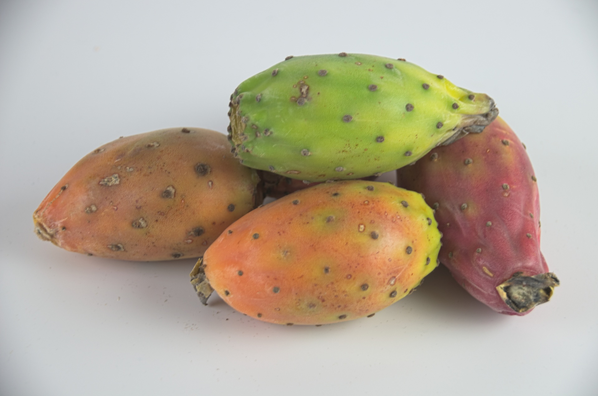 prickly pear fruit exotic fruits free photo
