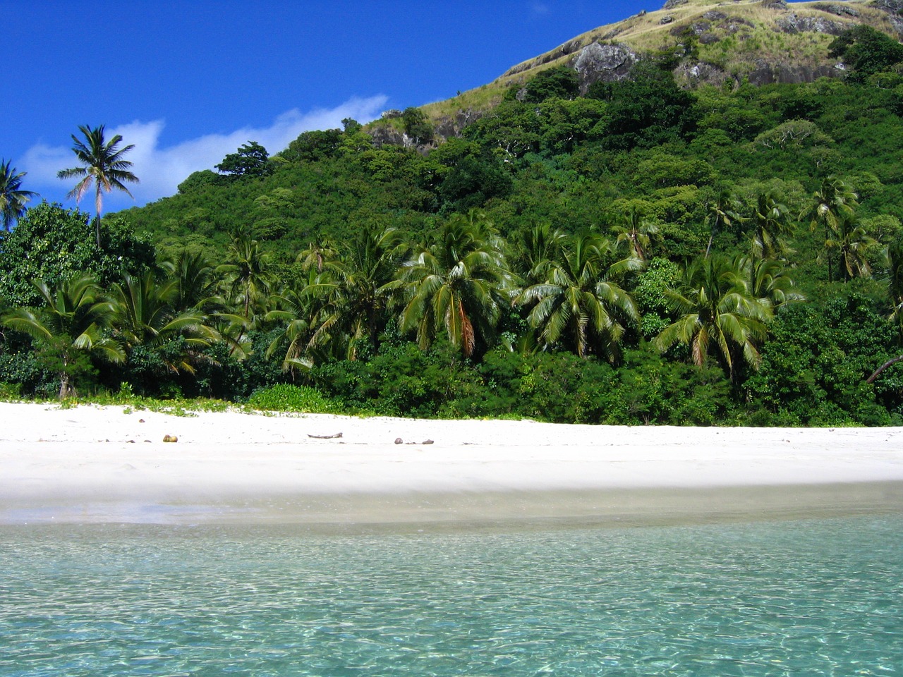 fiji beach tropical free photo