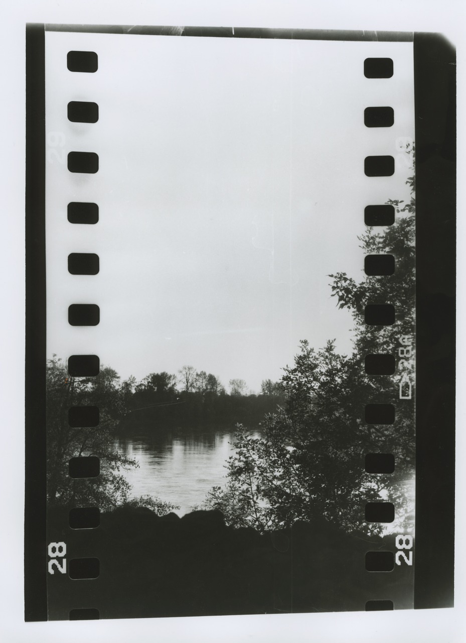 film vintage reflection free photo