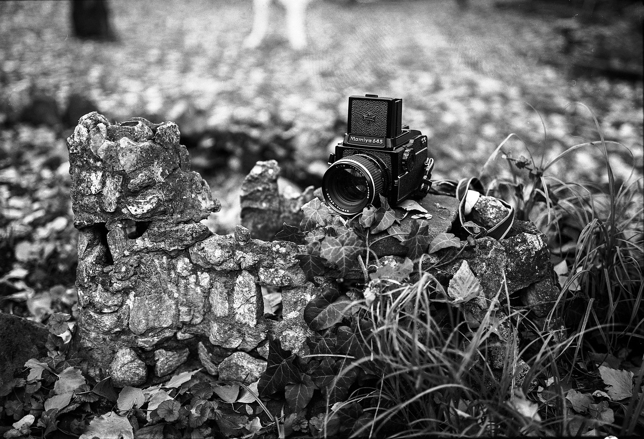 film camera camera vintage free photo