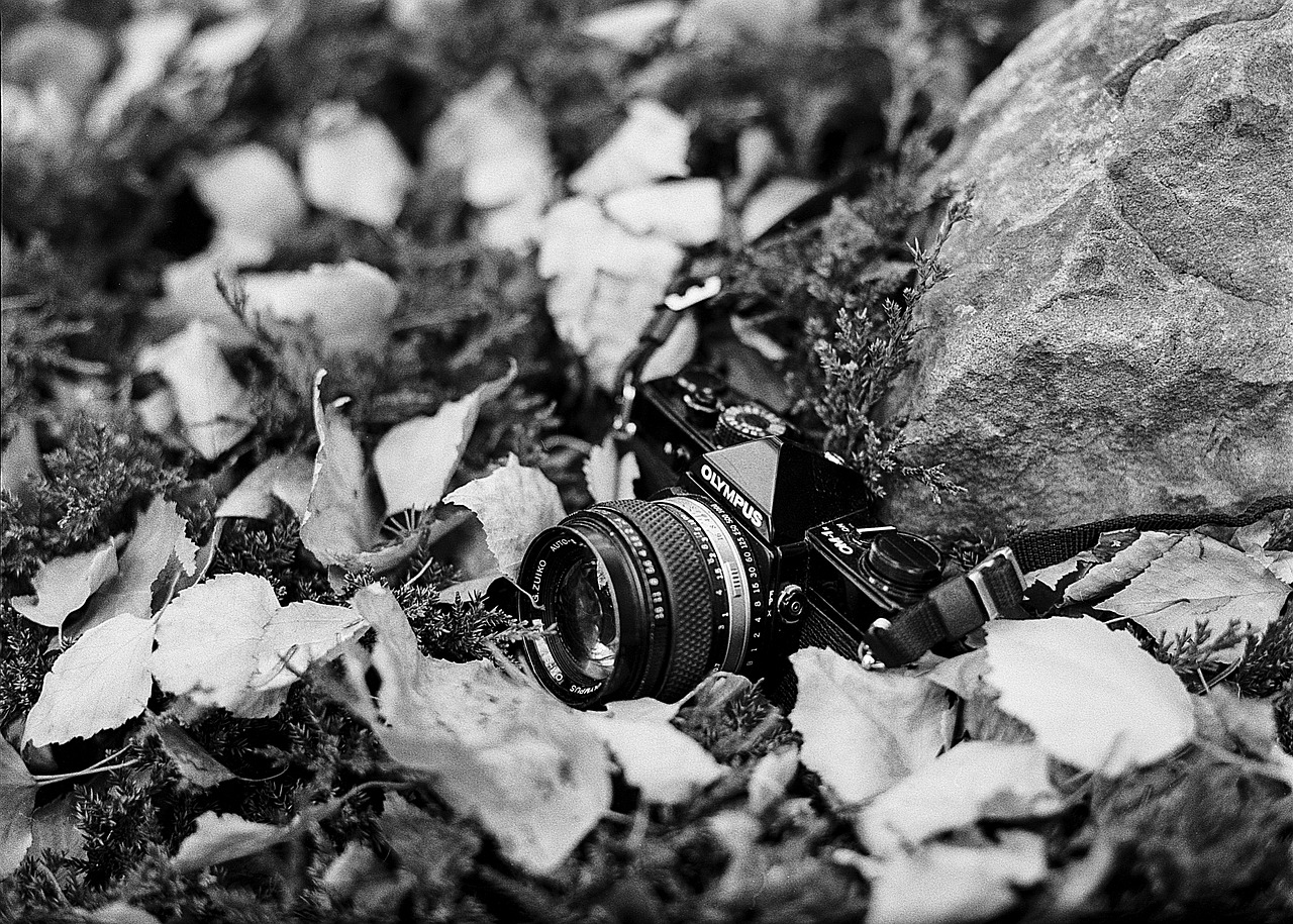 film camera camera vintage free photo