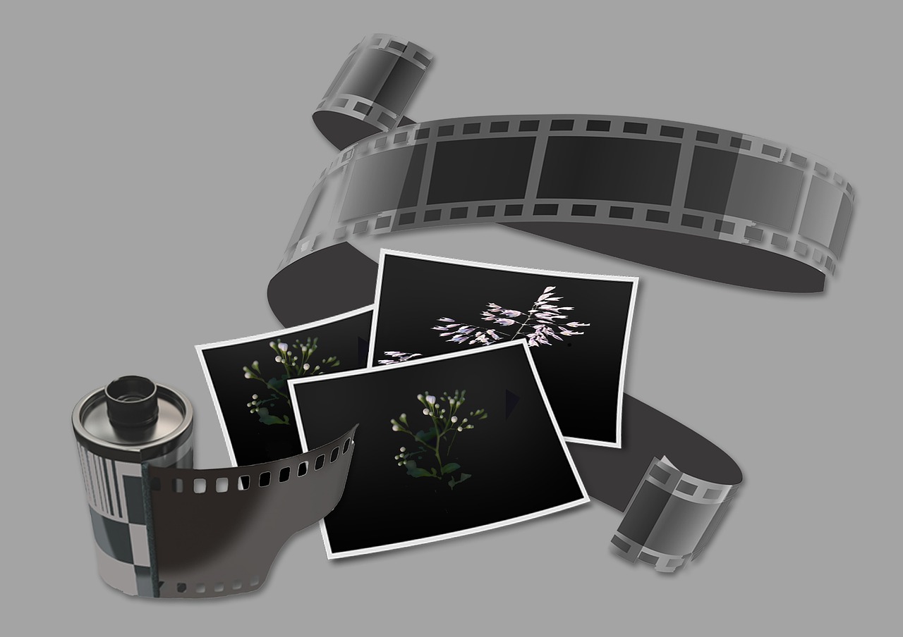filmstrip  negative  film roll free photo