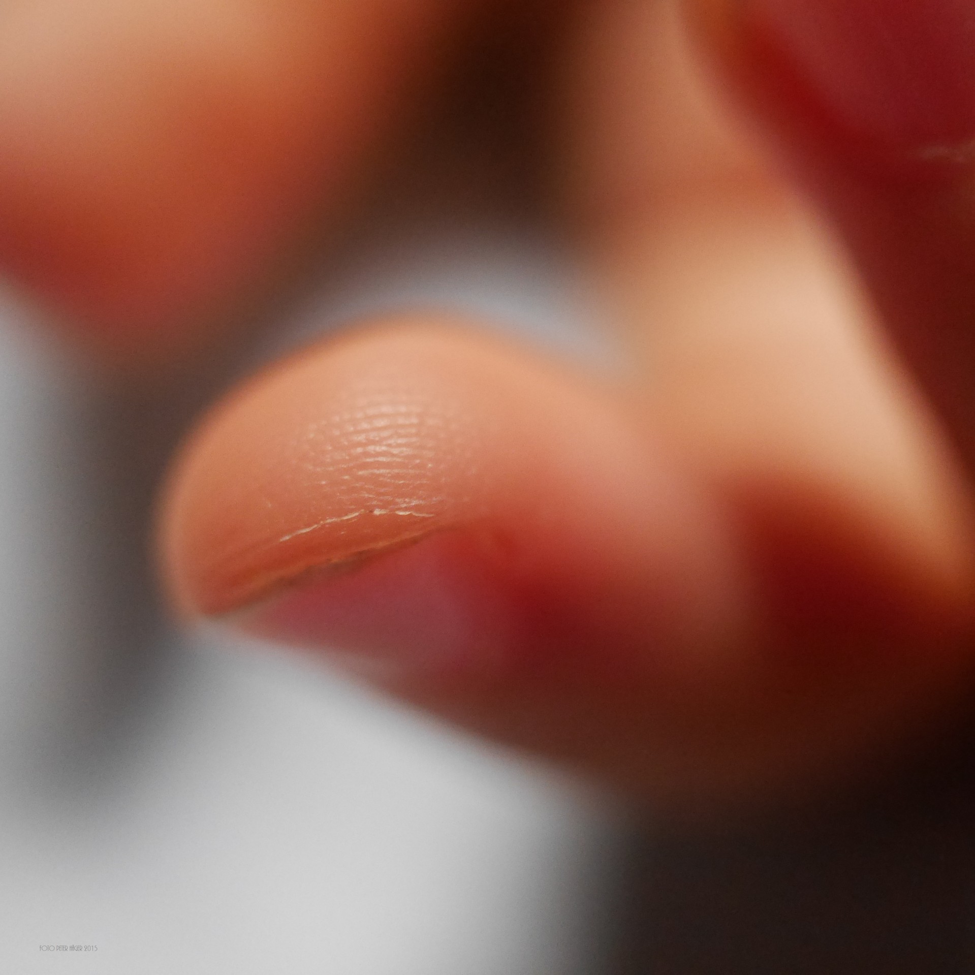 child fingertip finger tip of a child free photo