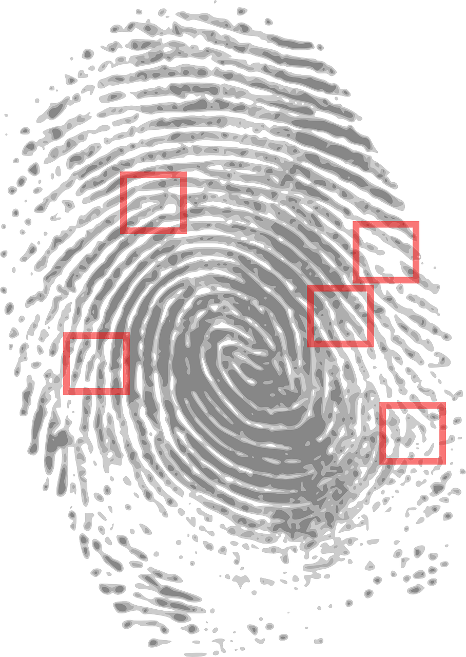 fingerprint detective criminal free photo