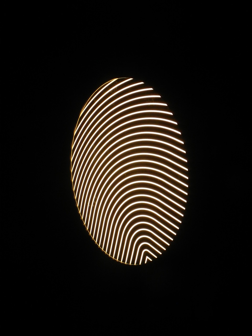 fingerprint finger print light free photo