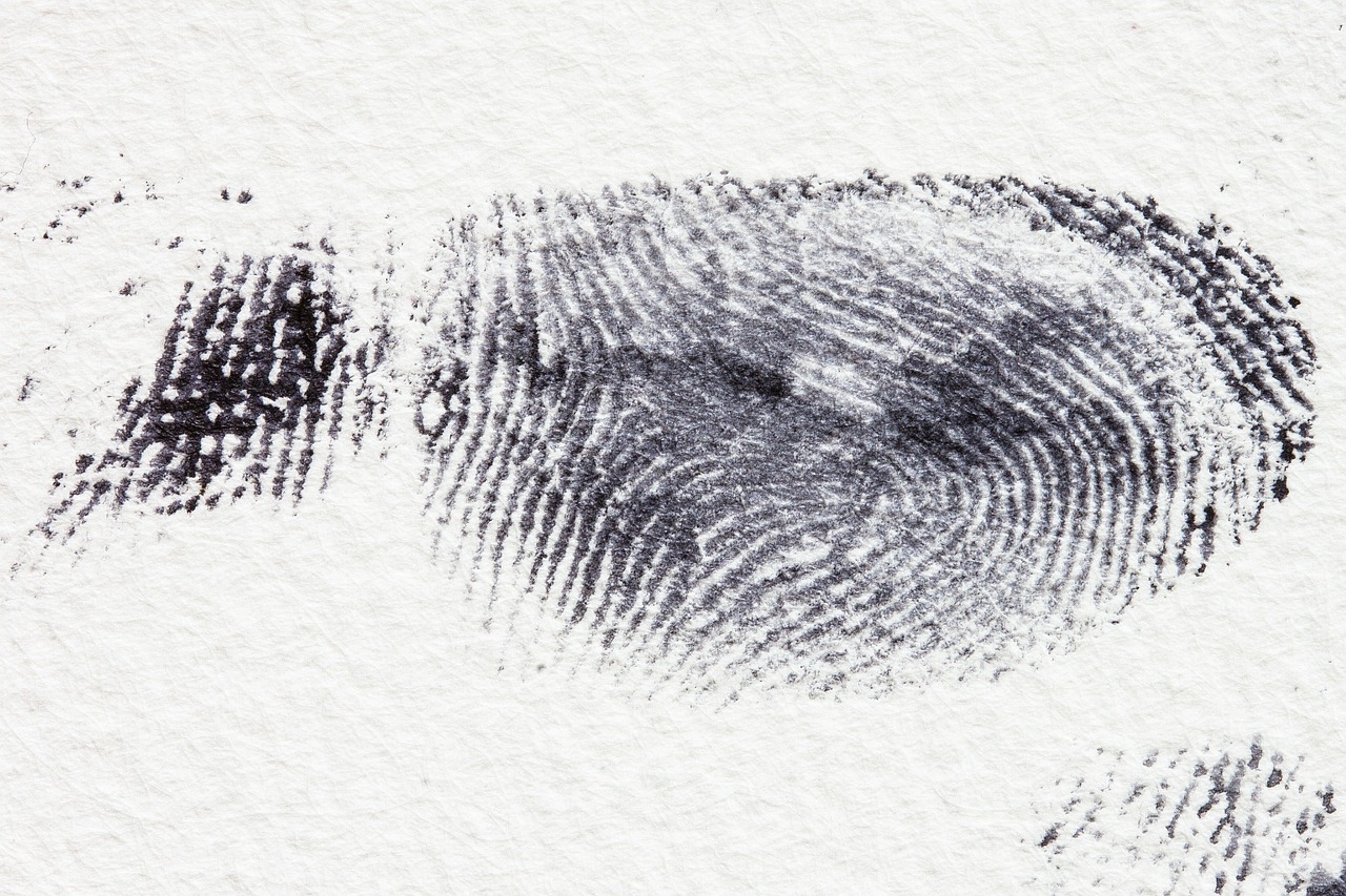 fingerprint daktylogramm papillary free photo