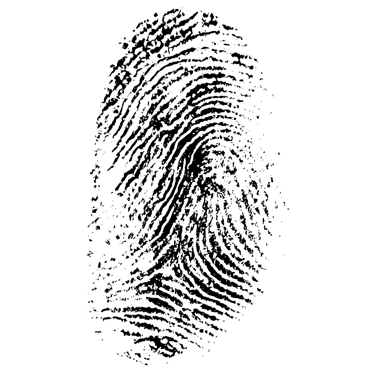 fingerprint daktylogramm papillary free photo