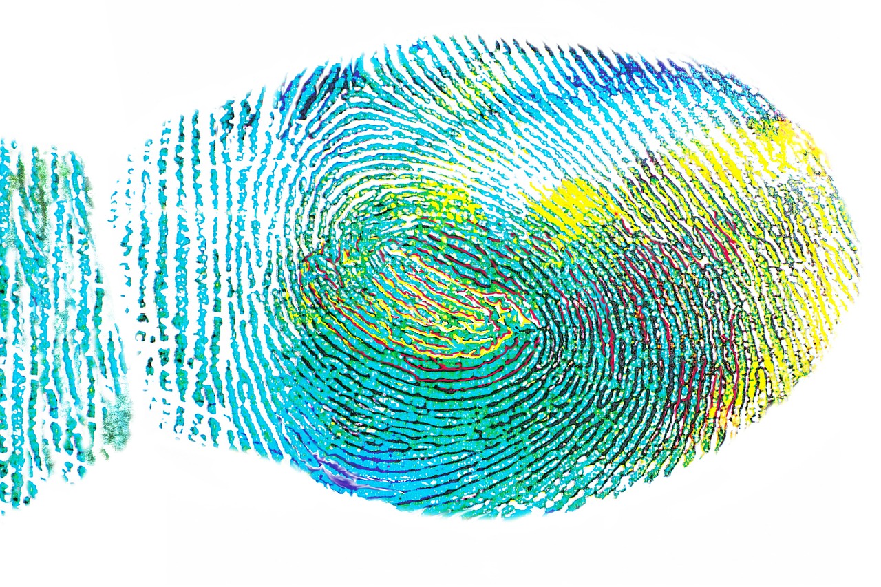 fingerprint expression creative skills free photo