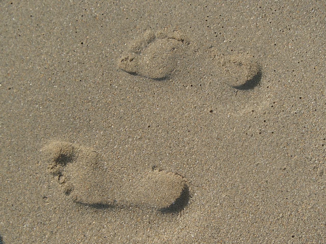fingerprint steps sand free photo