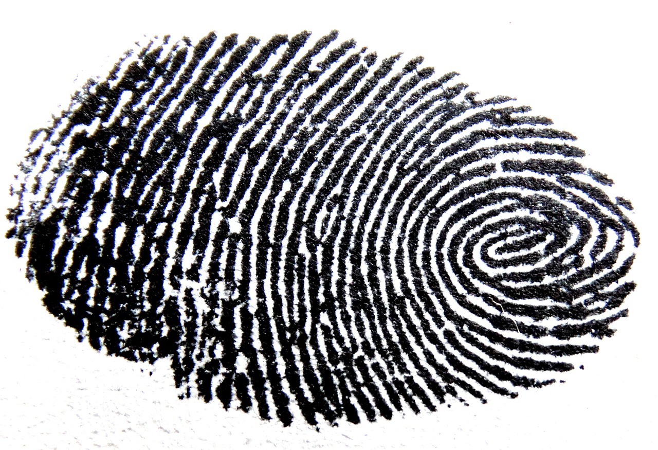 fingerprint traces pattern free photo