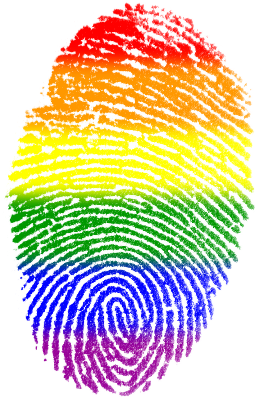 fingerprint gay flag free photo