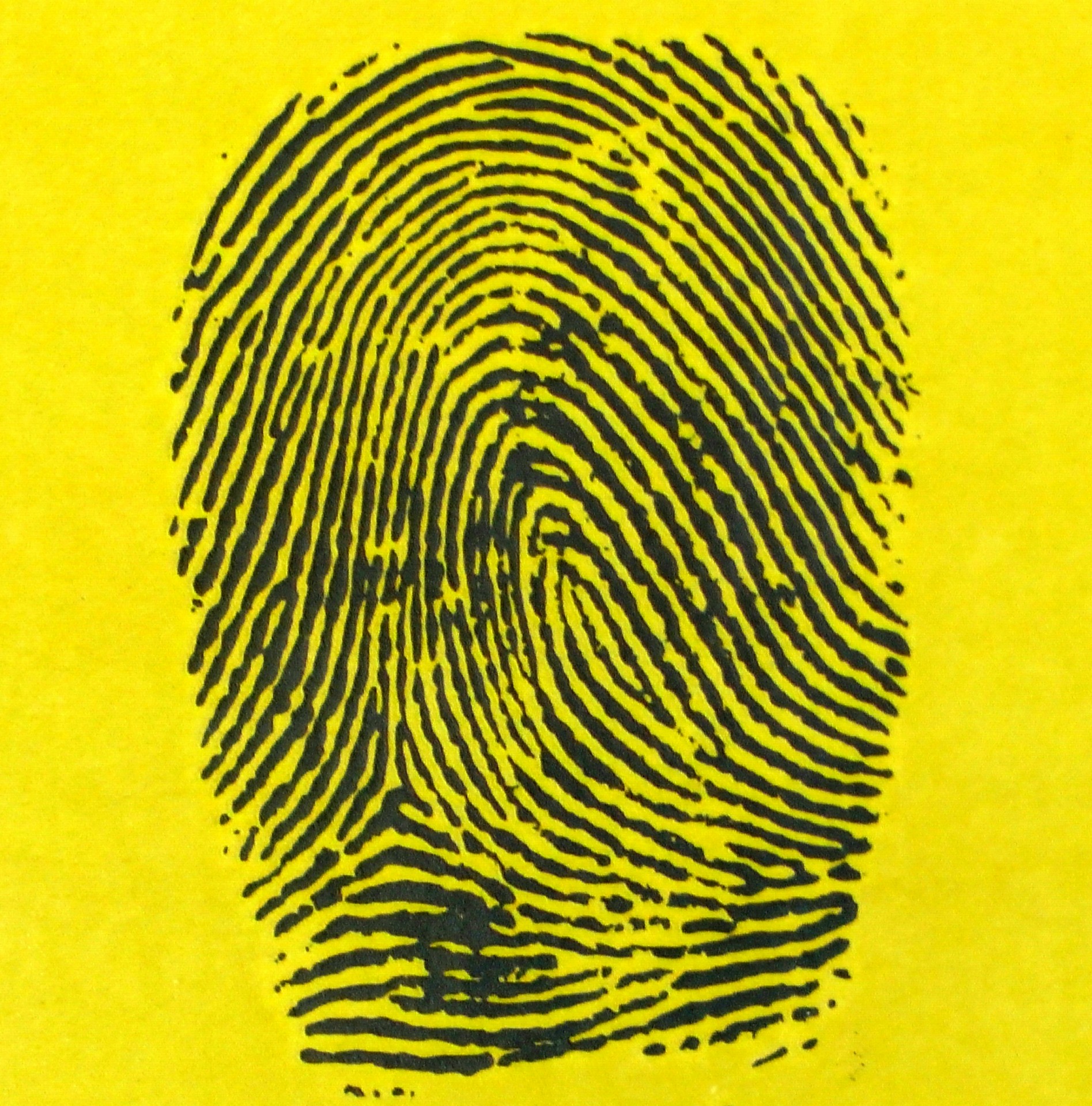 fingerprint fingerprints fingerprint fingerprints free photo