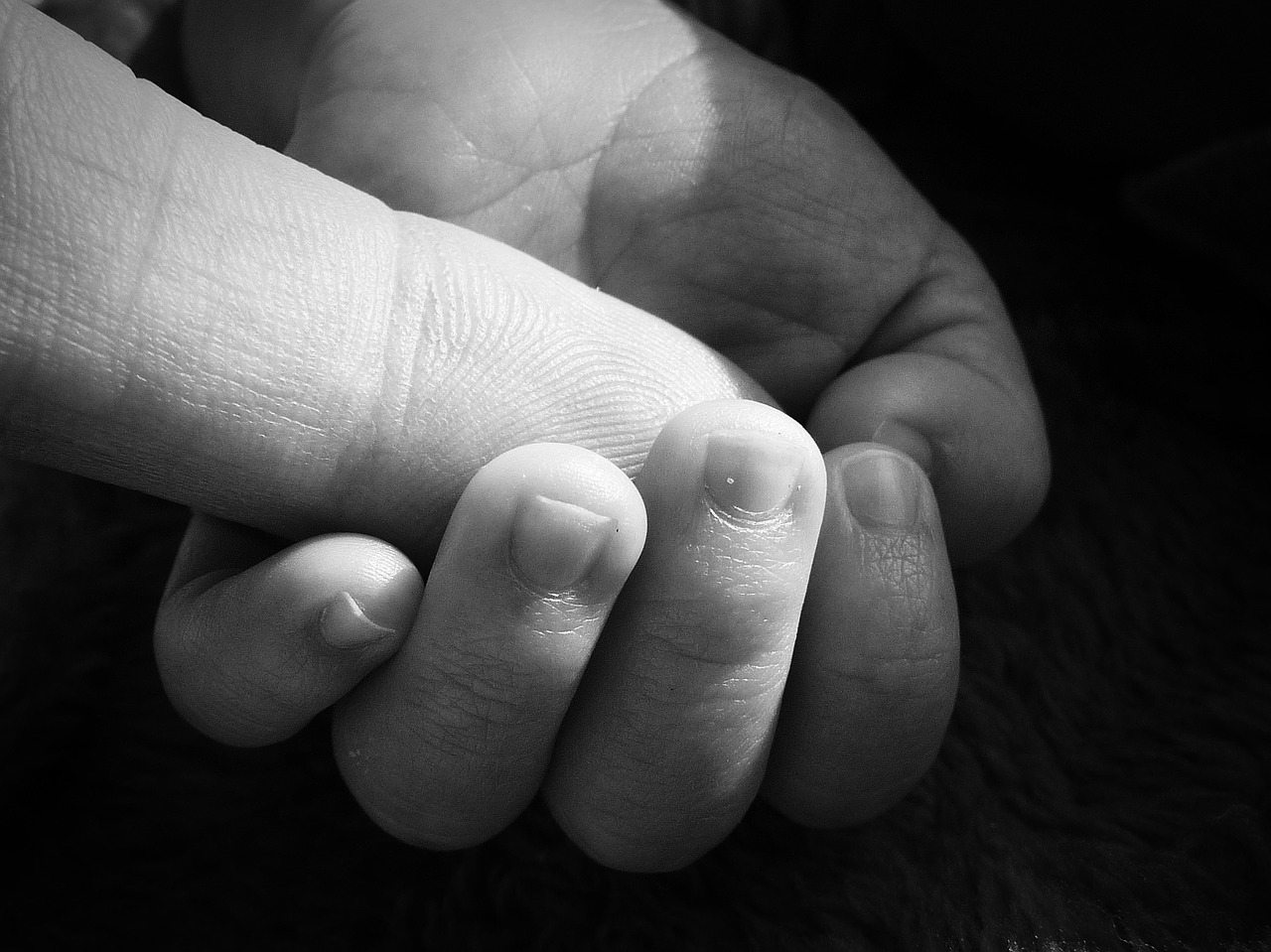 fingers holding hands baby free photo