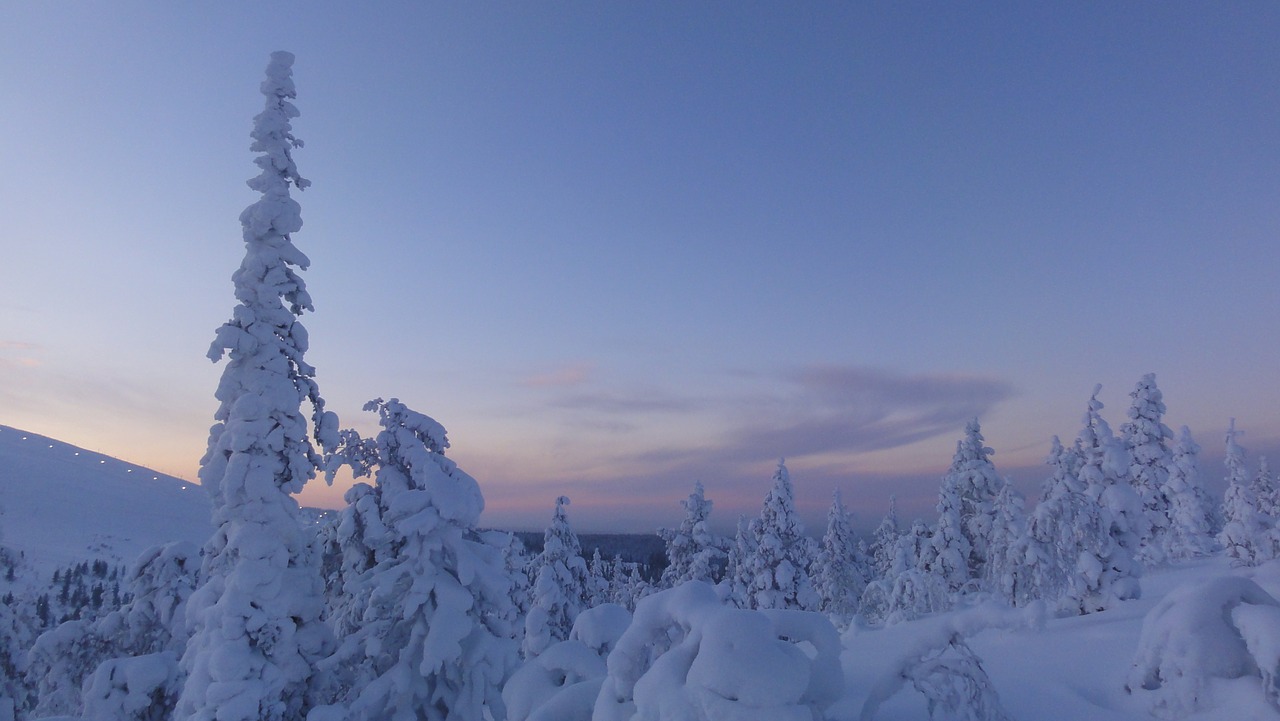 finland winter snow free photo