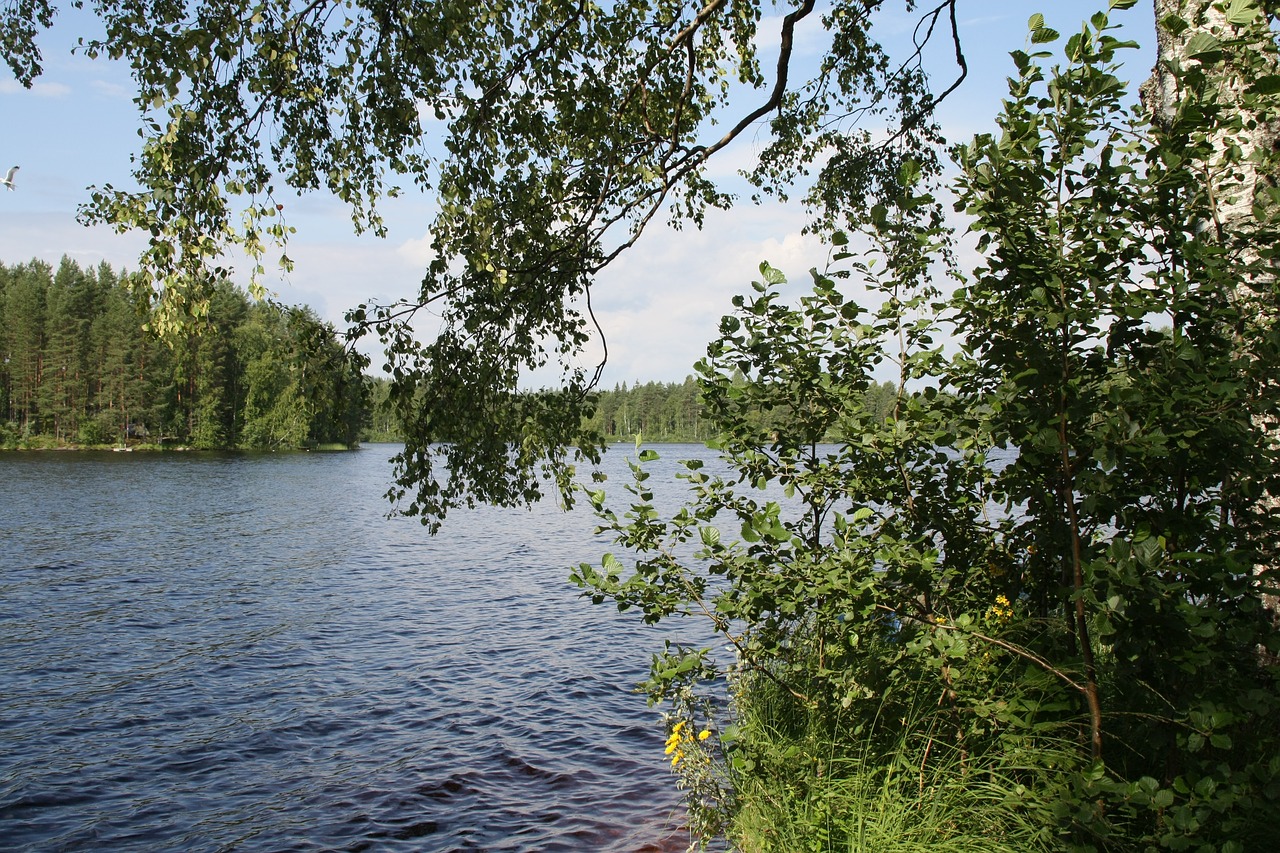 finland haavisto lake free photo