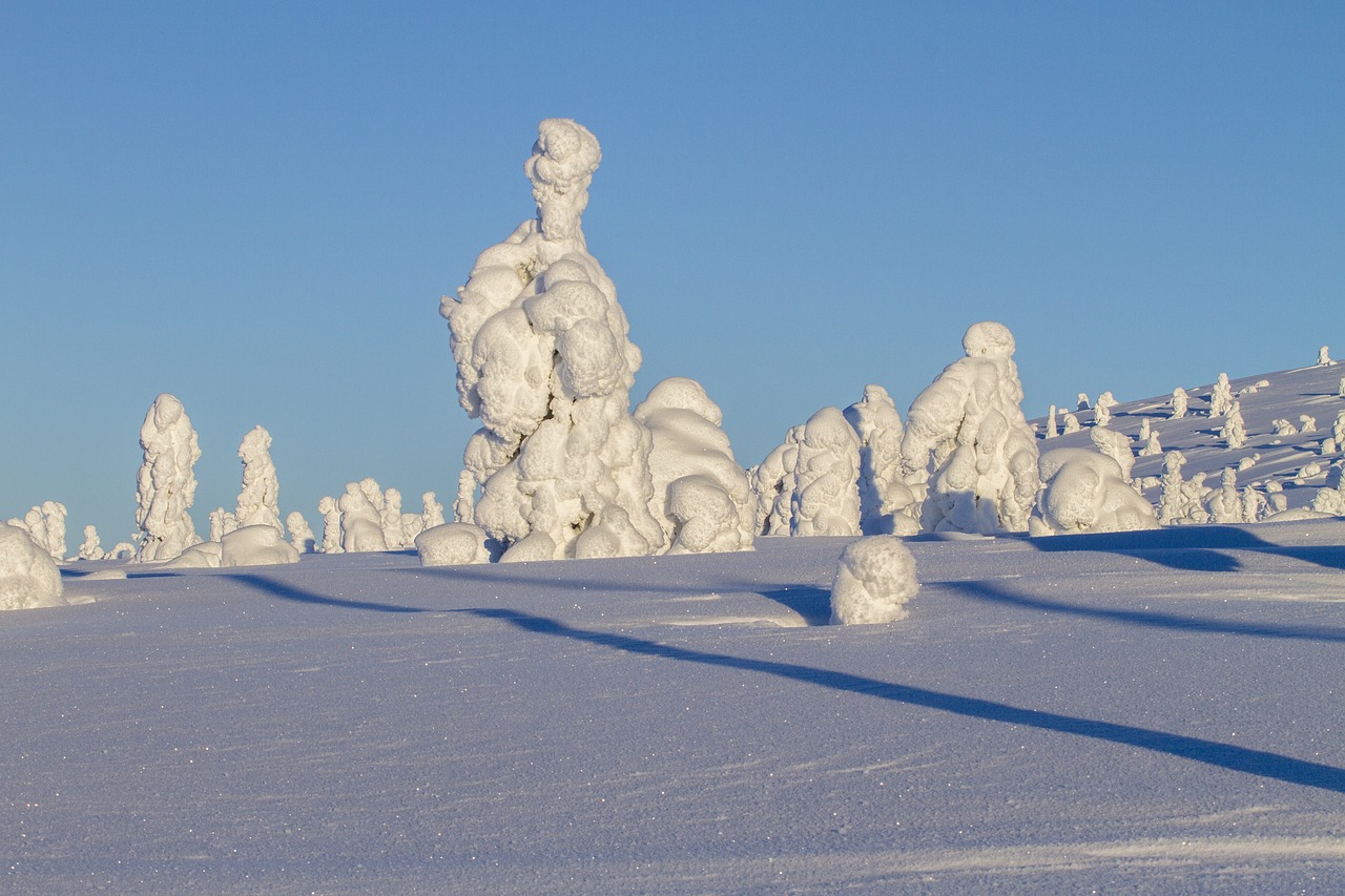 finland lapland wintry free photo