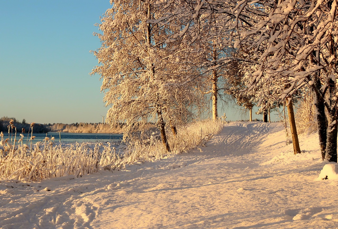 finland footpath trail free photo