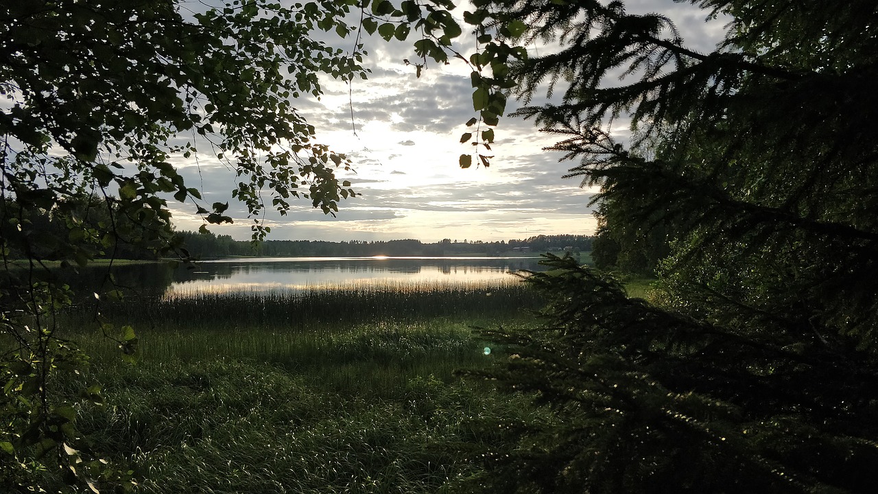finland  summer  evening free photo