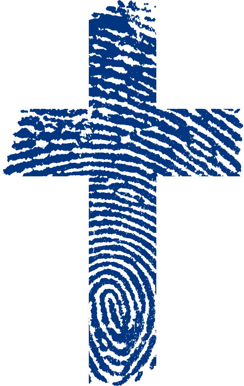 finland flag fingerprint free photo