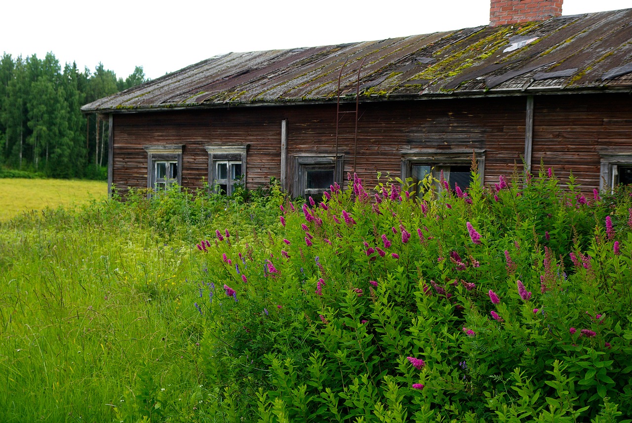 finland farm architecture free photo