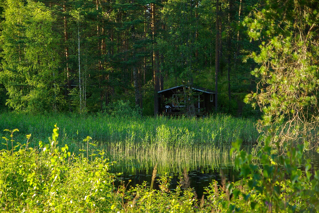 finland lake reeds free photo