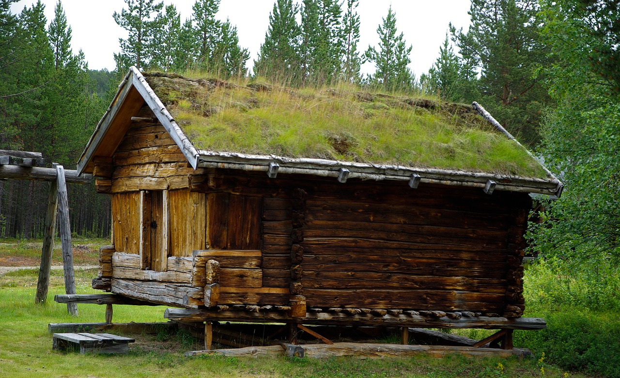 finland wooden house grass roof free photo