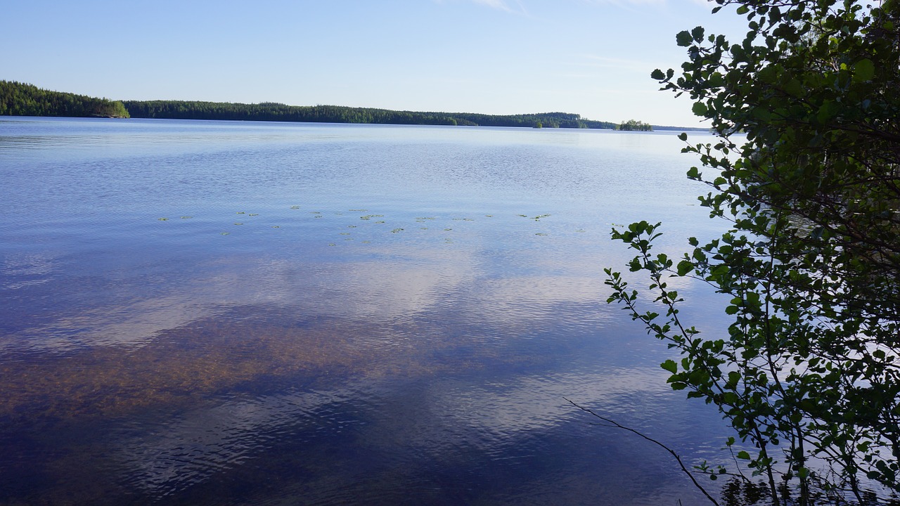 finnish lake beach free photo