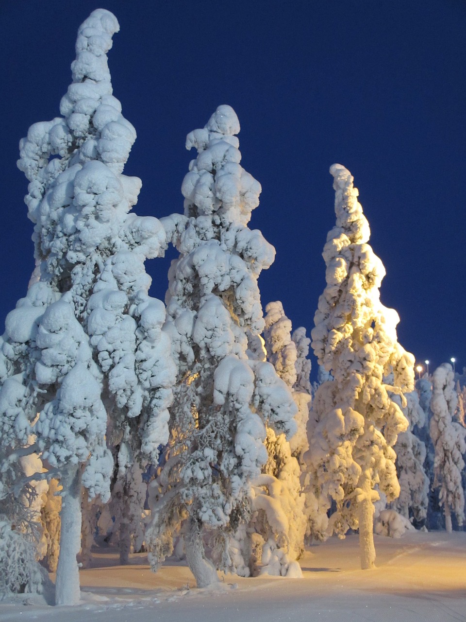 finnish winter snow free photo