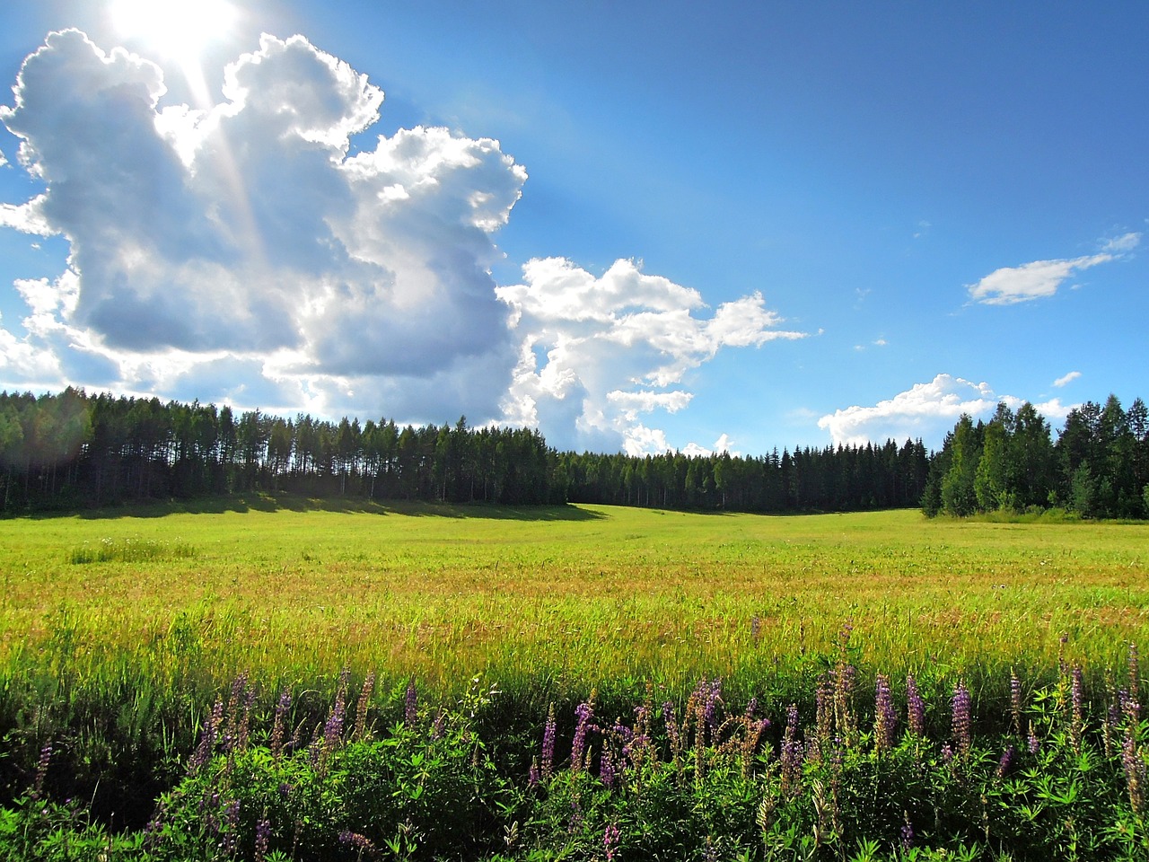 finnish tohmajärvi north karelia free photo