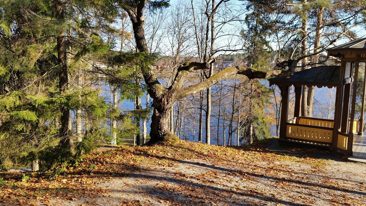 finnish spring park free photo