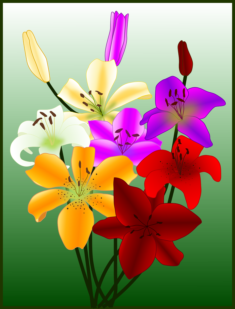 fiori flowers flowers for bookart free photo