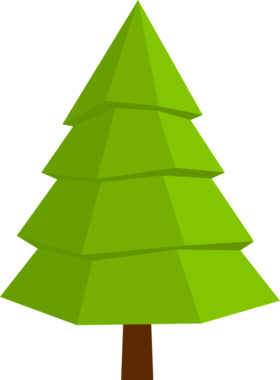 fir christmas tree tree free photo