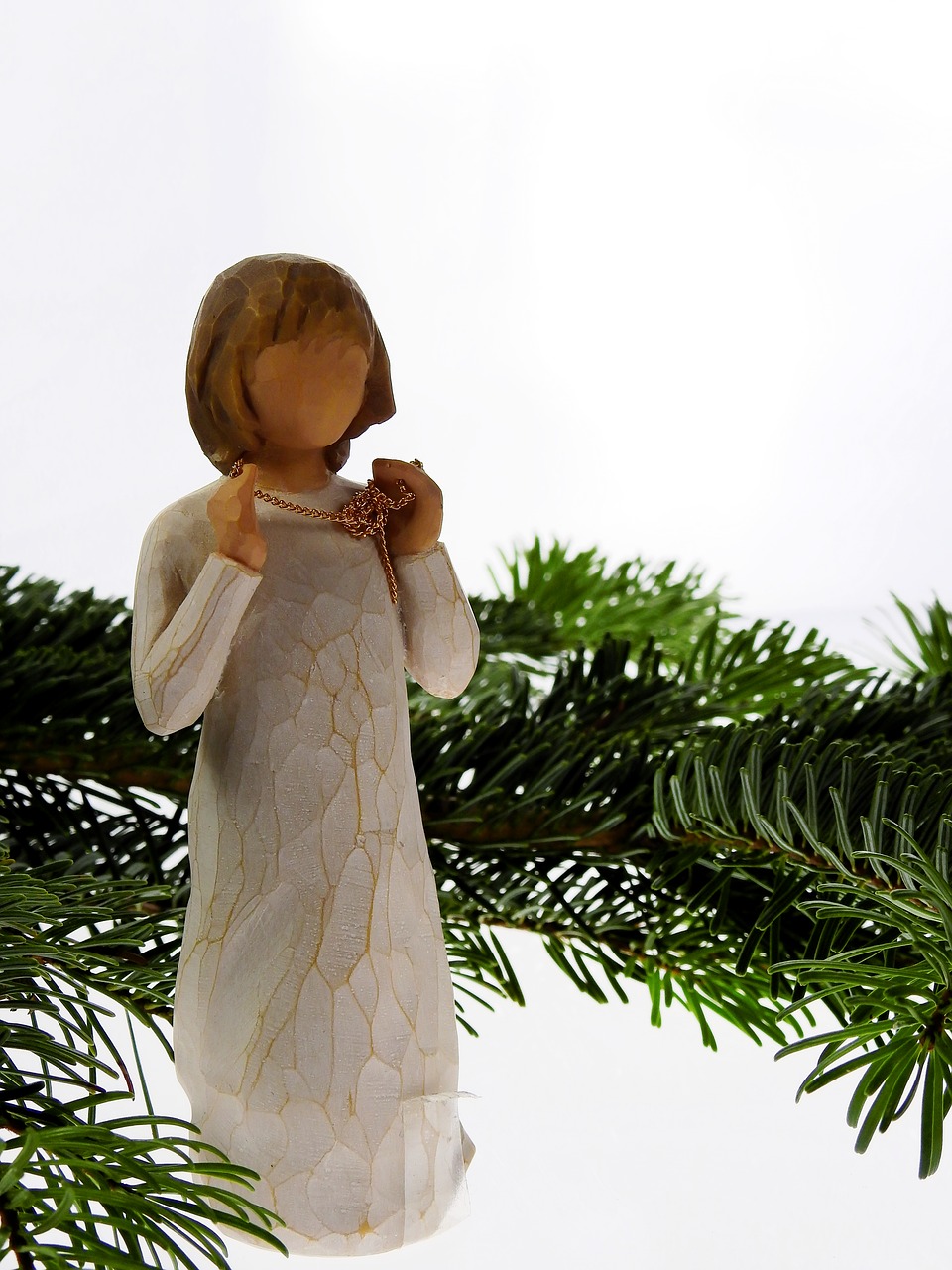 fir conifer angel free photo