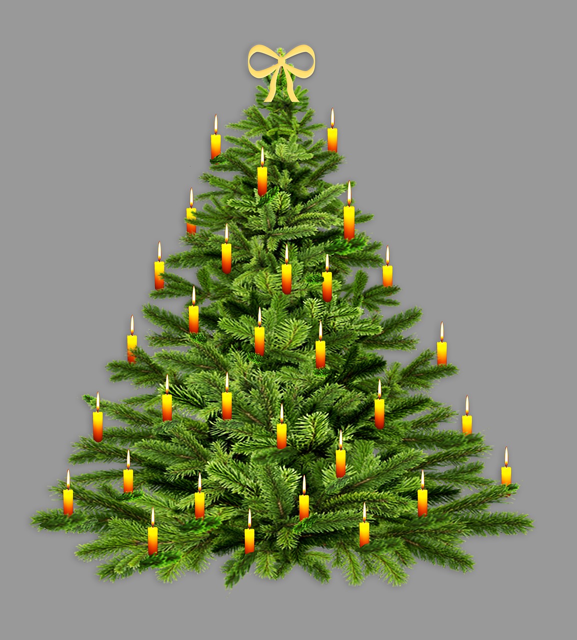 fir tree  christmas tree  christmas free photo