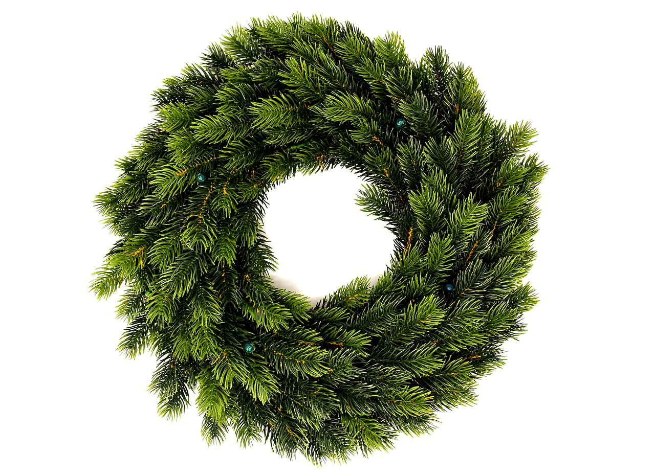 fir wreath holly wreath free photo