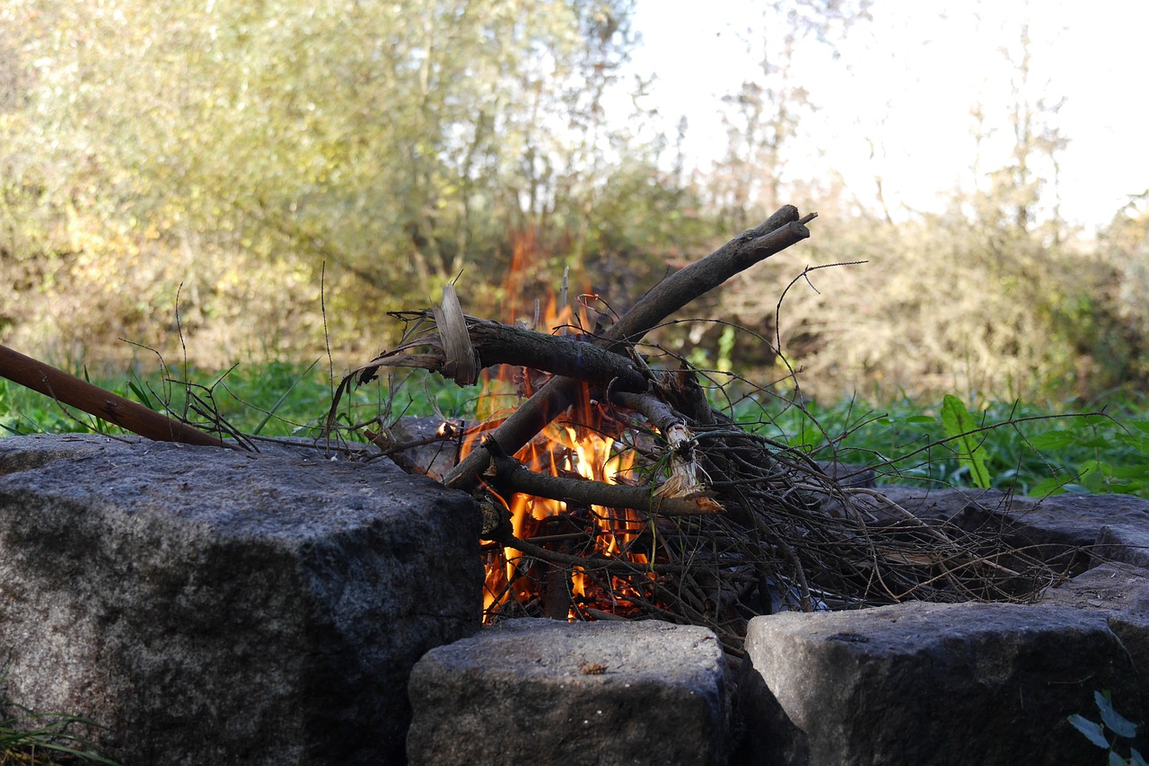 fire barbecue campfire free photo