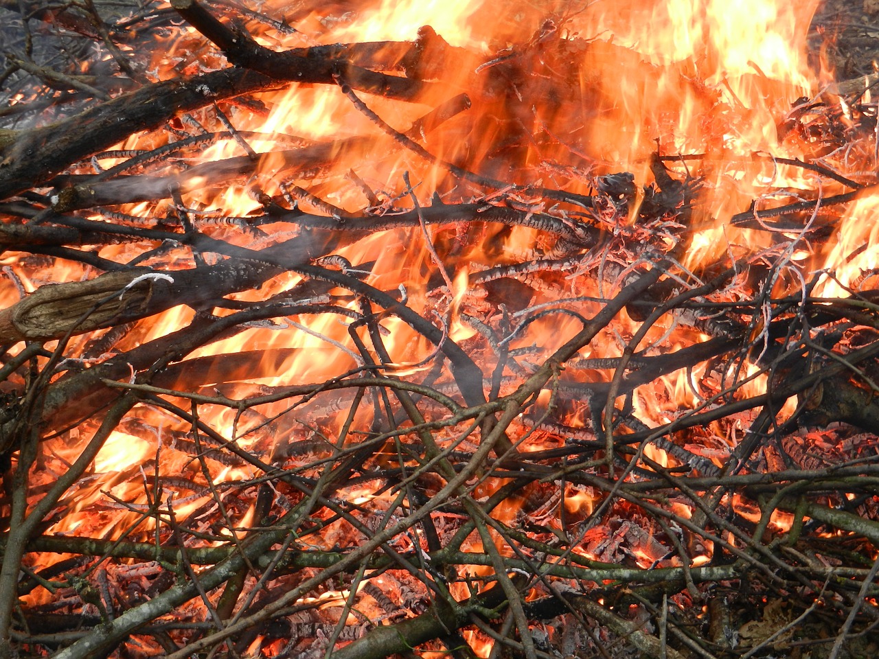 fire stubble free pictures free photo