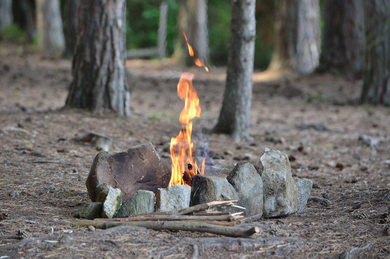 fire forest stones free photo