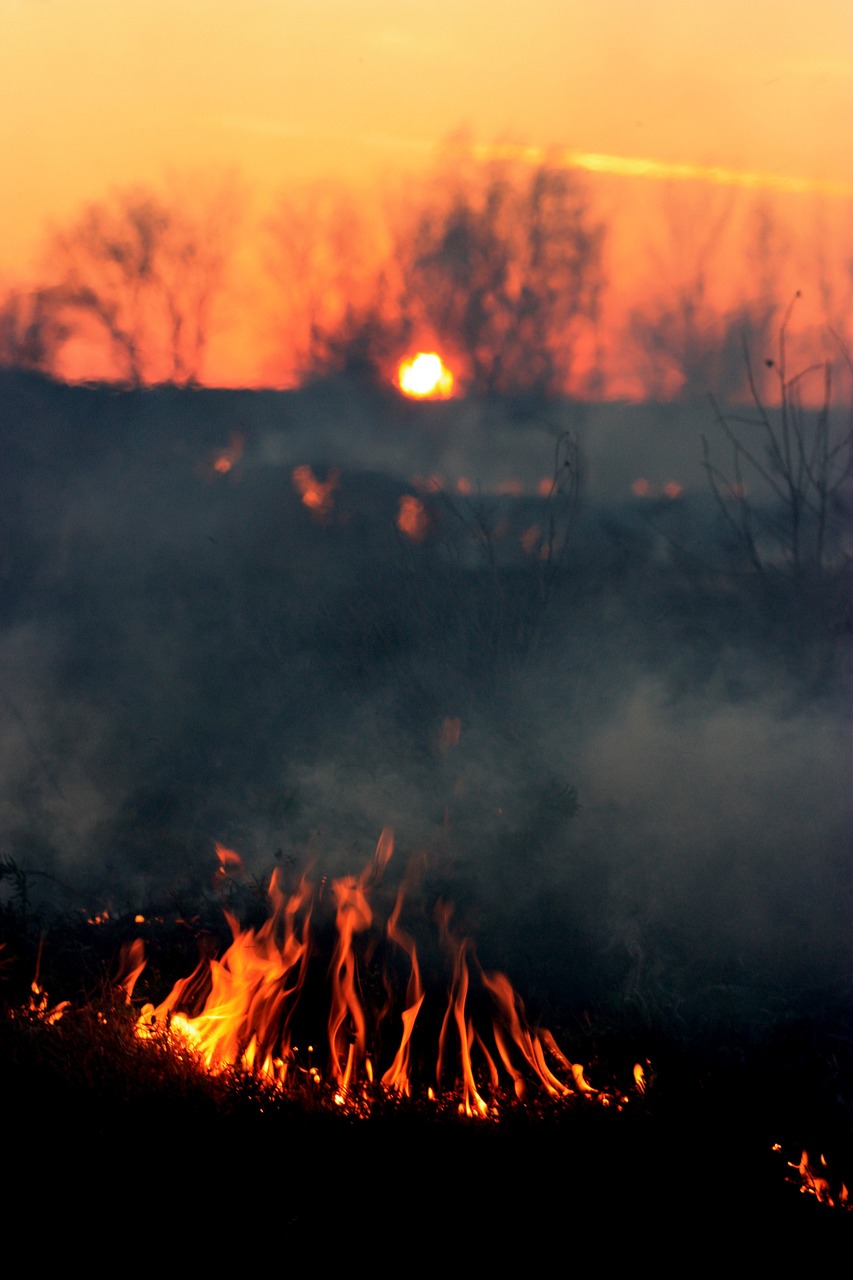 fire smoke sunset free photo