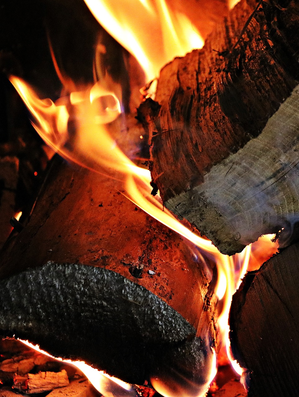 fire wood embers free photo