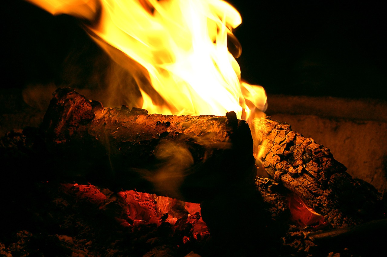 fire bonfire wood free photo