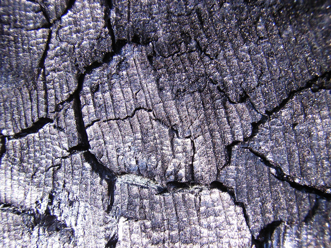 carbon charcoal wood free photo