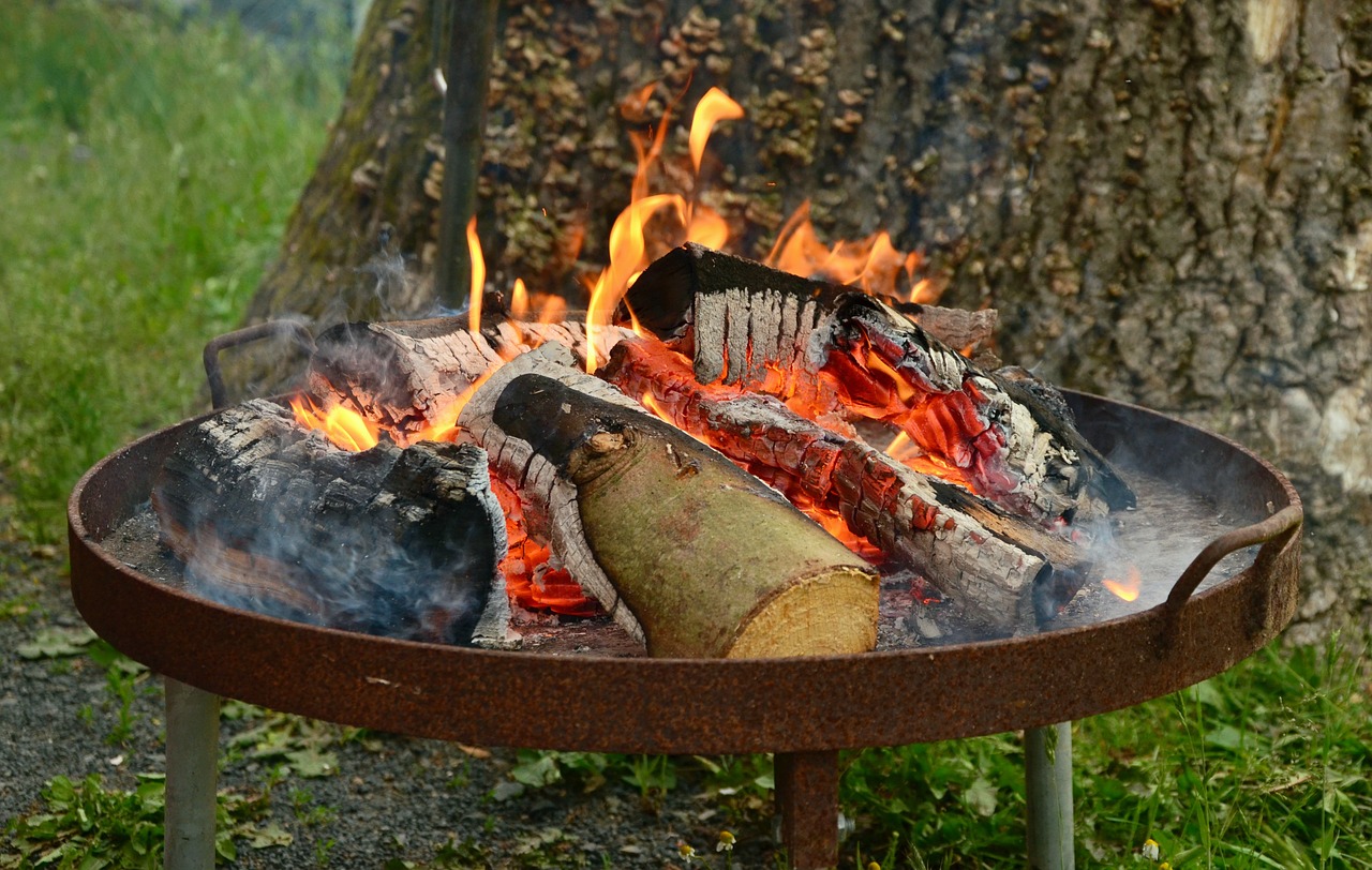 fire barbecue fire bowl free photo