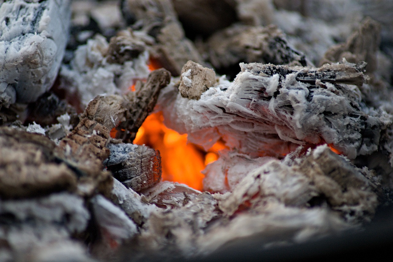 fire wood charcoal burning free photo