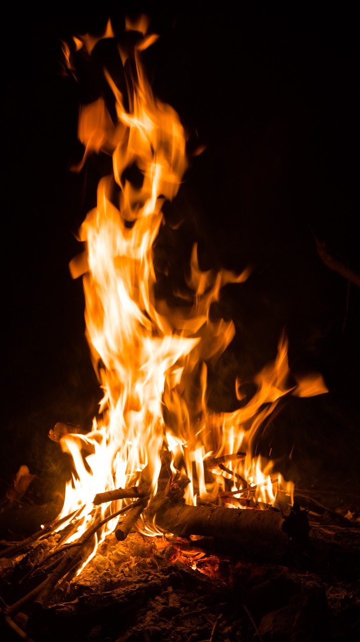 fire bonfire campfire free photo