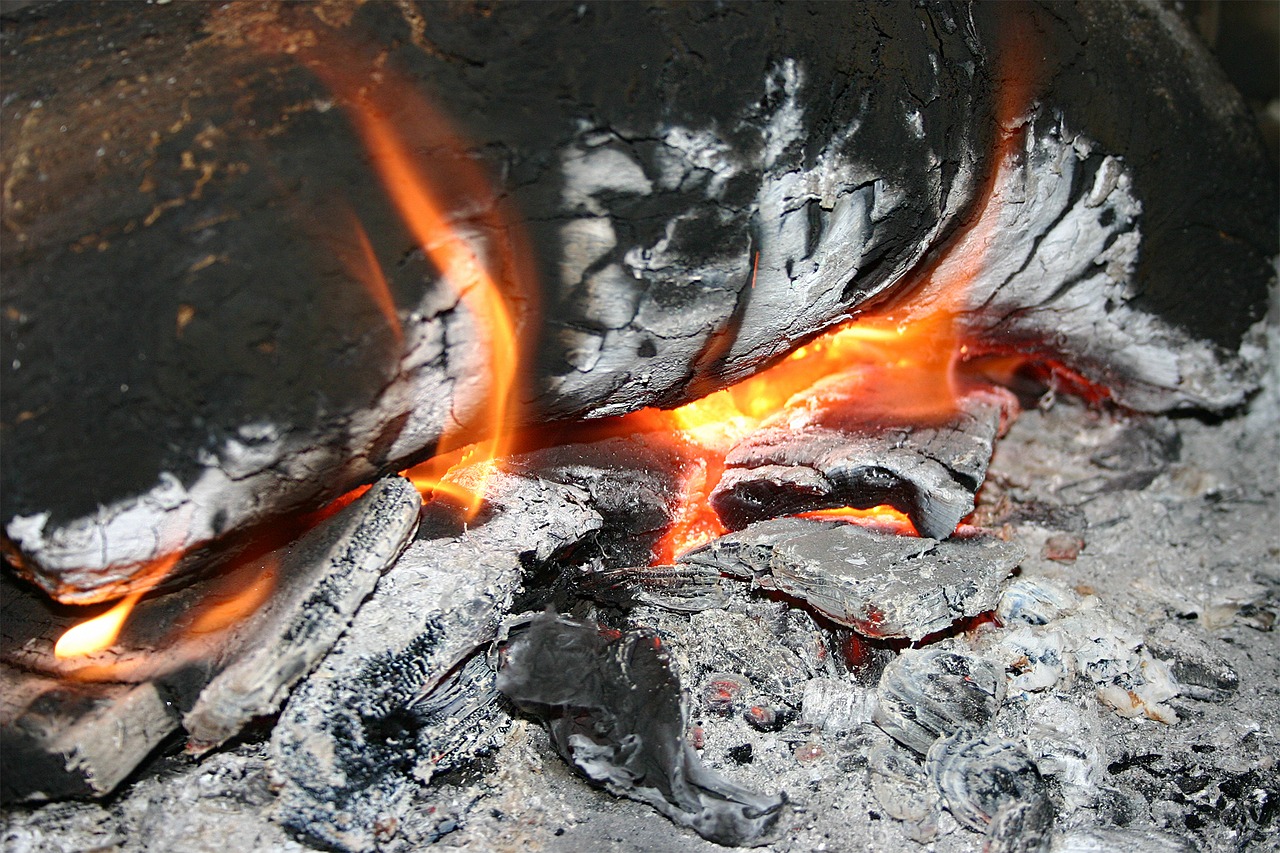 fire fireplace woods free photo